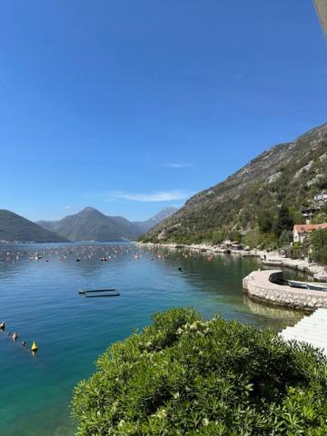 Aquazzura Daire Kotor Dış mekan fotoğraf